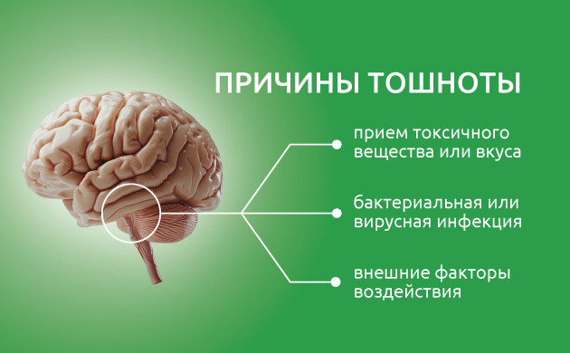 Тошнота и её происхождение Механизм возникновения тошноты