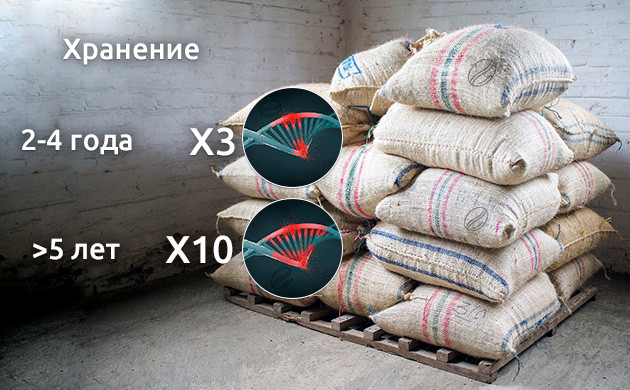 Вероятность появления мутации Появление мутация в зависимости от времени хранения семян