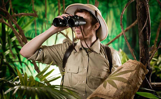 Поиски ландрейсов конопли Охотник за ландрейсами