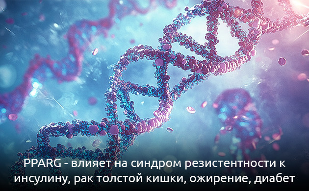 PPARG и метаболические болезни PPARG: будущее медицины