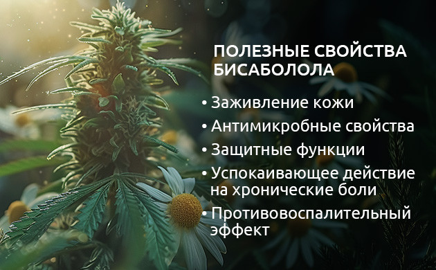 Уникальный эффект бисаболола