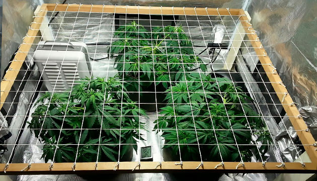 Изготовление рамы для сетки Рамка для ScrOG