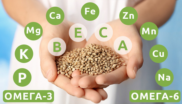 Состав конопляных семян Компоненты химического состава