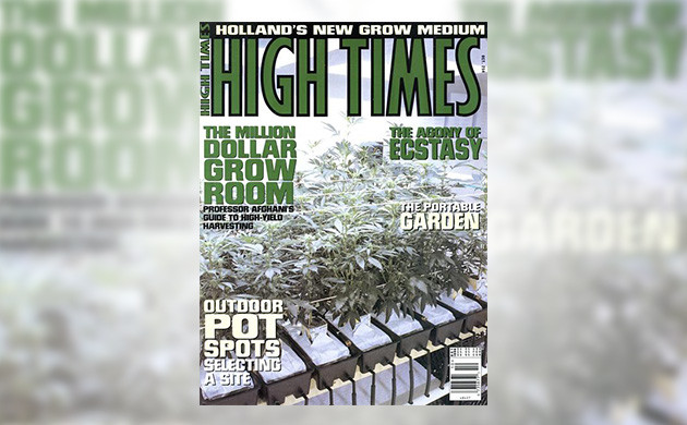 Статья авторства профессора Афгани Обложка журнала High Times 1996 г.