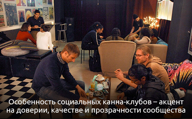 Каннабис-клубы: качество, доверие, сообщество Социальный каннабис-клуб и его плюсы