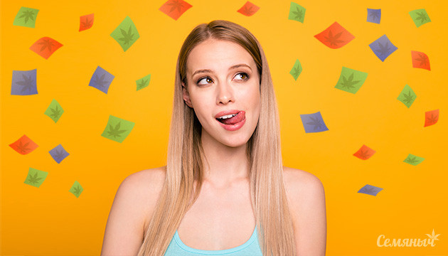 Что такое конопляные пастилки Конопляные пастилки