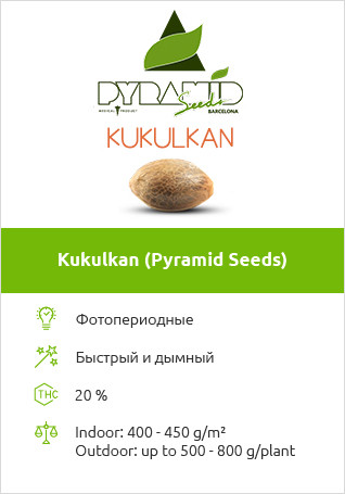 Kukulkan от Pyramid Seeds