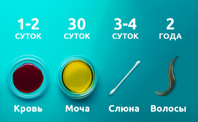 Сроки вывода ТГК из организма человека Время выводы ТГК из организма