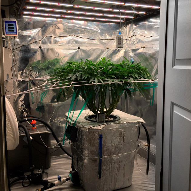 Применение метода ScrOG Установка сетки ScrOG