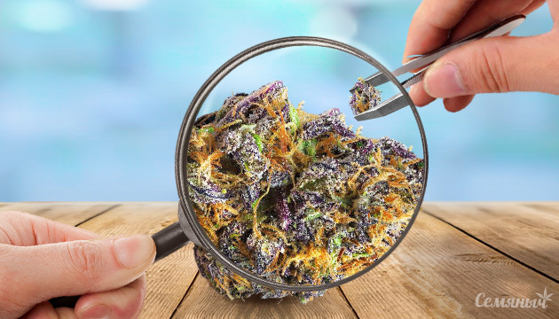 Экономия шишек Расчет шишек при использовании