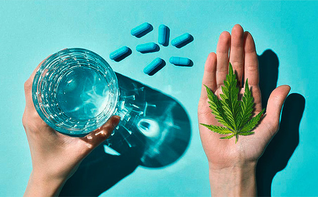 Совместный прием антибиотиков марихуаны Совмещение конопли и антибиотиков