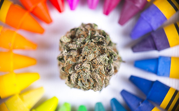 Использование каннабиса для творчества Каннабис и творческий потенциал