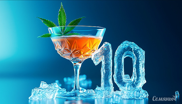 Канна-коктейли – замена традиционным алкогольным напиткам 10 праздничных канна-коктейлей