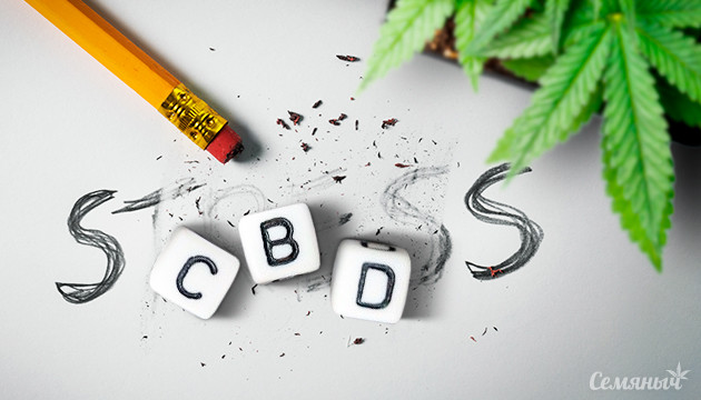 Стресс и КБД: эффективное натуральное решение КБД против хронического стресса