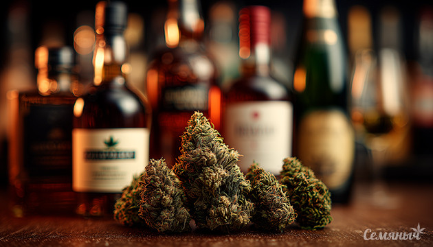 Молодёжь предпочитает напитки с каннабиноидами, а не алкоголем Американская молодёжь выбирает канна-напитки вместо алкоголя