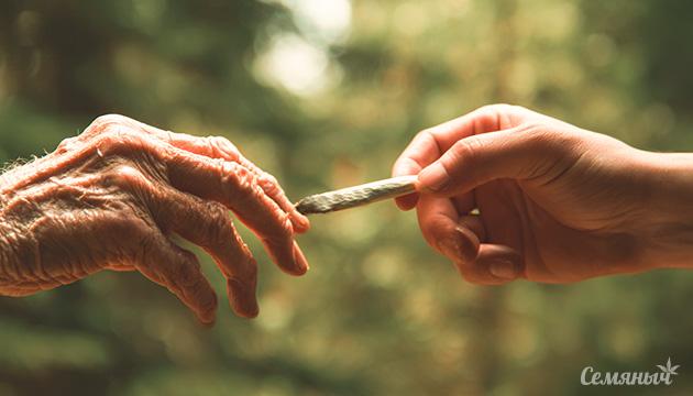 Поколенческие привычки: как меняется потребление каннабиса в мире Модели использования марихуаны разными поколениями