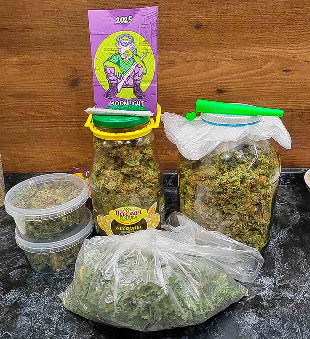 Сбор урожая и впечатления от грова Харвест Gorilla Cookies Auto