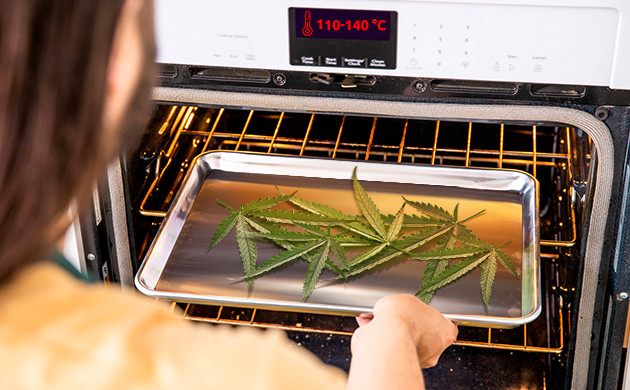 Процесс декарбоксилизации листьев конопли активирует в них каннабиноиды Процесс декарбоксилизации марихуаны
