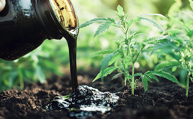 Питание для биоты микроорганизмов Подкормка для биоты конопли