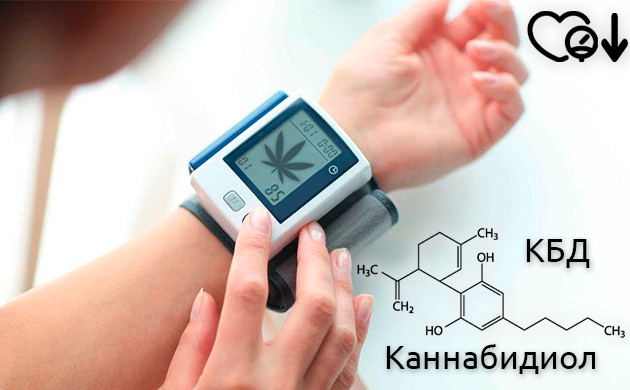 Понижение давление после КБД сортов Пониженное давление на тонометре