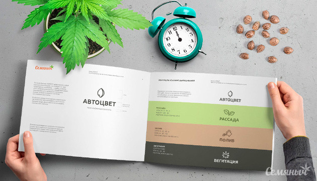 Руководство по выращиванию автоцветов Краткое руководство по выращиванию авто сортов