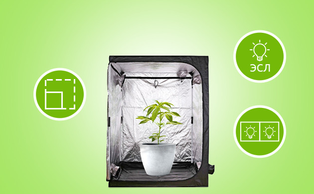 Гроубокс для вегетации Обустройство гроубокса для вегетации