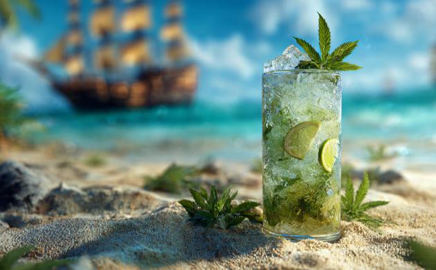 Происхождение напитка мохито История мохито