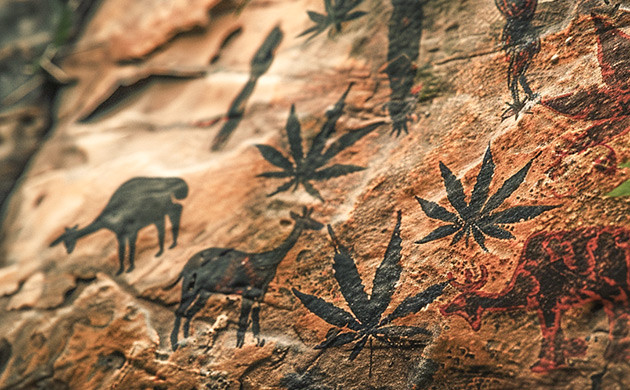 От Азии до Африки: путь конопли Культура конопли на Африканском континенте