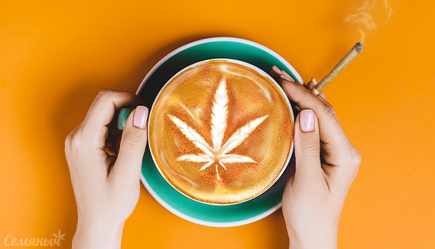 Сочетание кофеина и марихуаны Кофе с коноплей