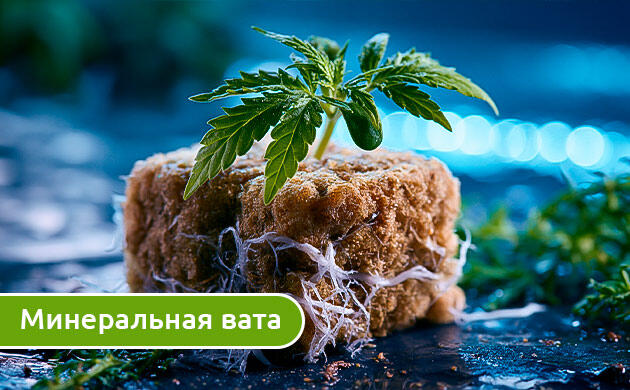 Неорганический субстрат — минеральная вата Минеральная вата