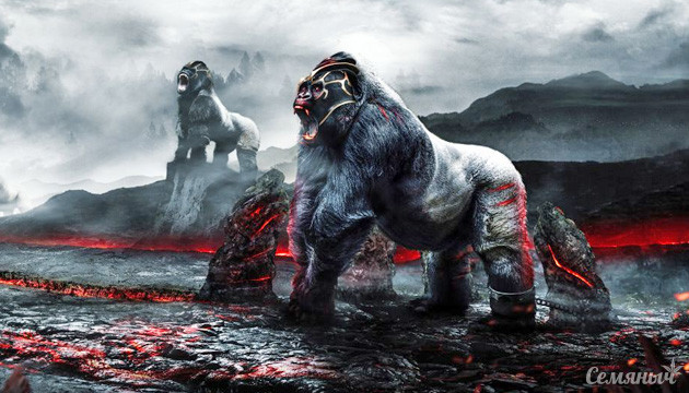 Подборка сортов с генетикой Gorilla Glue Сорта Gorilla