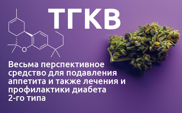 ТГКВ: блокировка рецепторов cb-1 Тетрагидроканнабиварин в лечении диабета