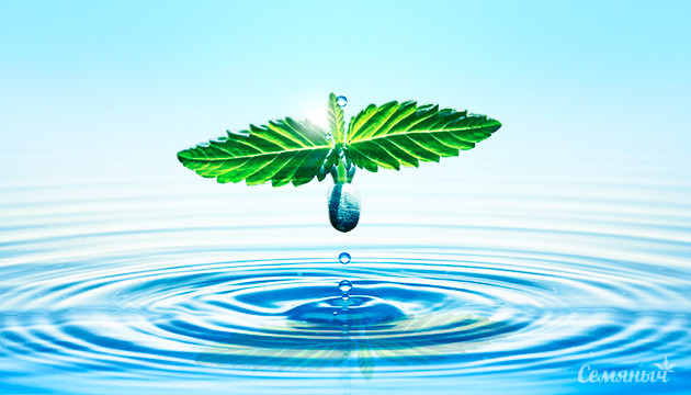 Всемирный день воды с Семянычем Всемирный день воды с Семянычем