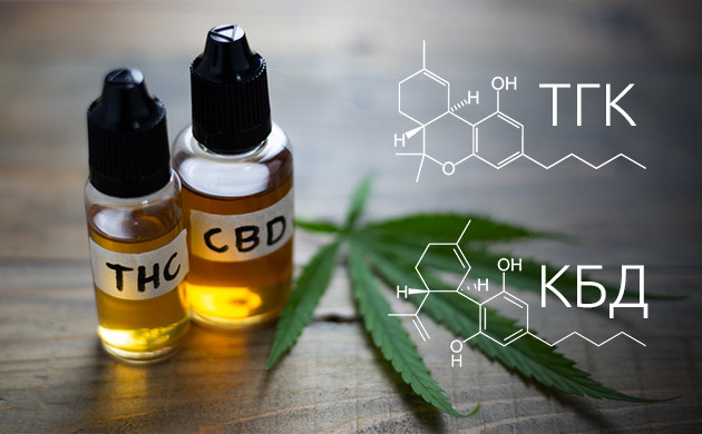 Каннабиноиды: влияние на организм ТГК и КБД: основные каннабиноиды