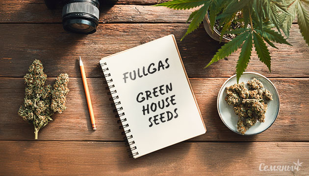 Выращивание сорта марихуаны Fullgas от Green House Seeds Гроурепорт сорта Fullgas от Green House Seeds