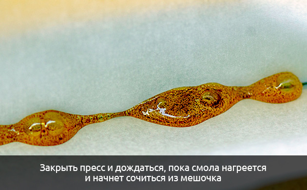 Закройте пресс Закройте пресс