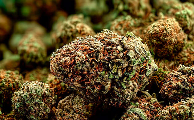 Альтернативные способы хранения каннабиса Альтернативы зиплок-пакетам