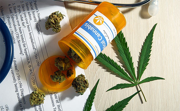 Ценность терпенов для медицины Терпены в медицинской конопле