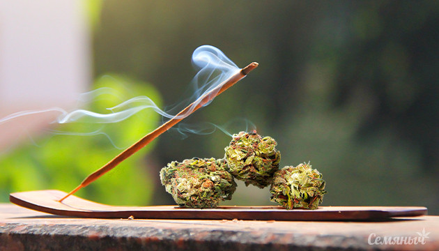 Успокаивающая конопля Благовония и шишки конопли