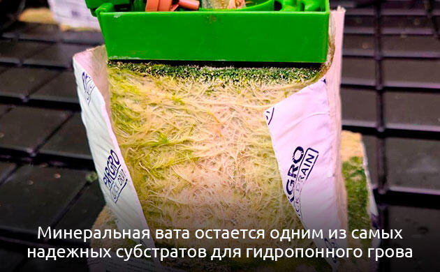 Физические свойства минеральной ваты и их влияние на рост каннабиса Минеральная вата как субстрат для гидропонного выращивания конопли