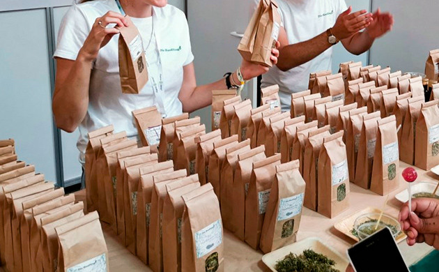 Амбассадор канна-брендов Представитель канна-брендов