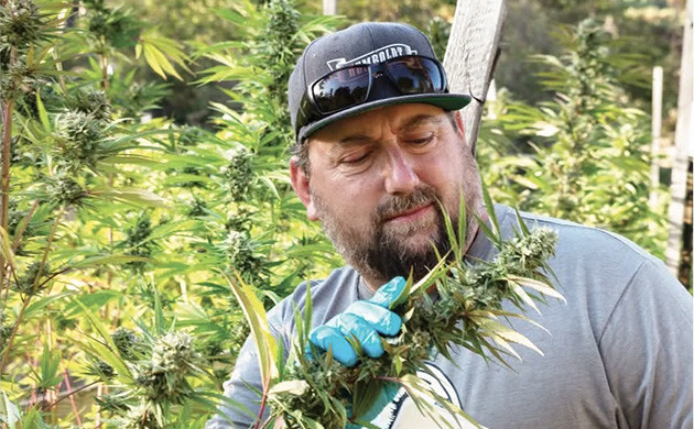 Семенные банки Гумбольдта: история и путаница Почему Humboldt — знак качества