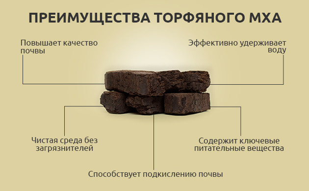 Преимущества торфяного мха для выращивания конопли Преимущества торфяного мха