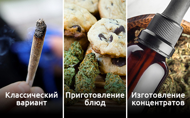 Что делать с шишками попкорна Применение шишкам попкорна