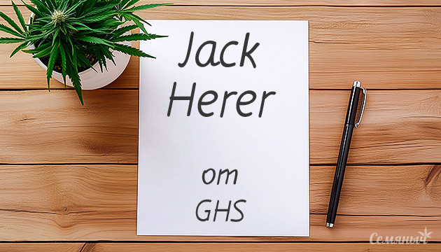 Гроурепорт по выращиванию сорта каннабиса Jack Herer Выращивание марихуаны Jack Herer