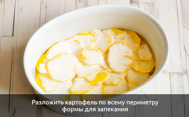 Разложите картофель по всему периметру формы Разложите картофель по всему периметру формы