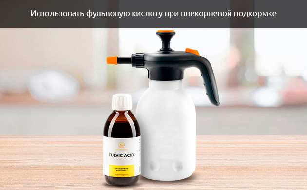 Фульвовая кислота для листьев конопли Внекорневая подкормка фульвовой кислой