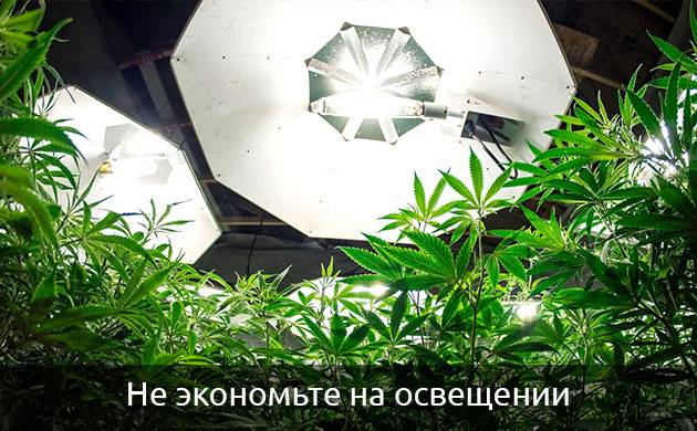 не экономьте на освещении