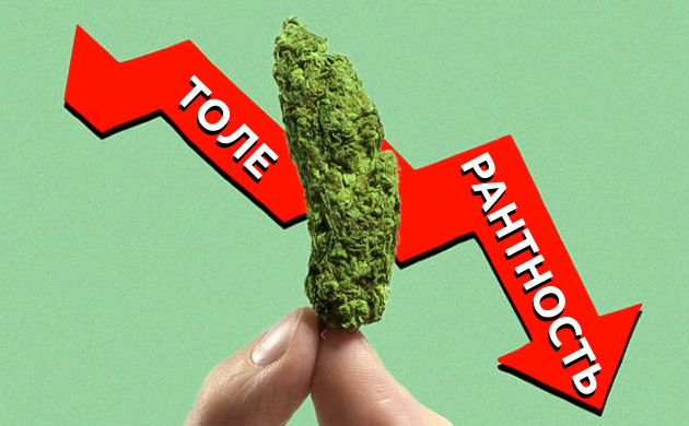 Перерыв для снижения толерантности: отдых для организма Толер-брейк: переоценка взаимоотношений с марихуаной