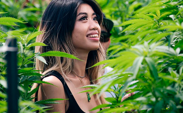 Легализация конопли в Тайланде Бангкок, Таиланд. Восточное пробуждение канна-культуры